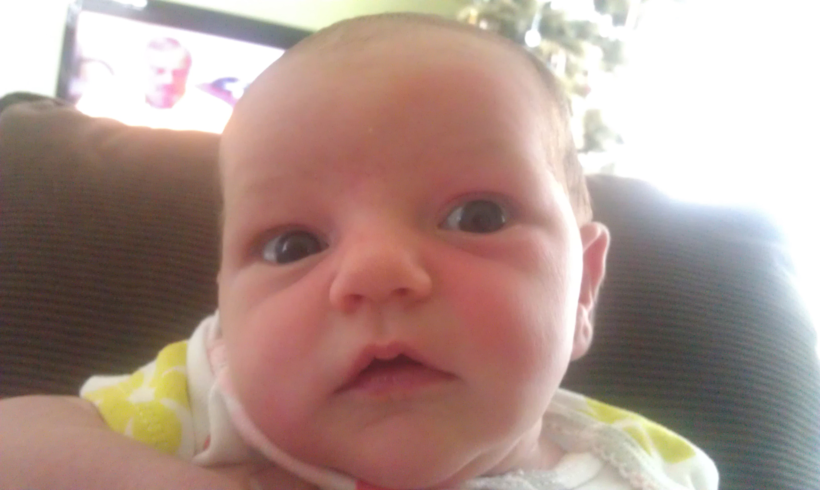 Harper Kenny